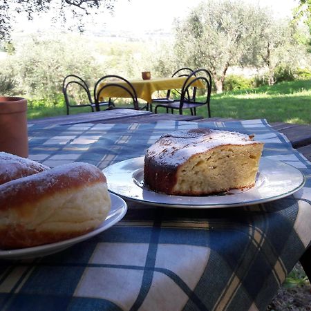 I Fagiani B&B Rimini Eksteriør bilde